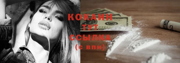 мяу мяу мука Алзамай