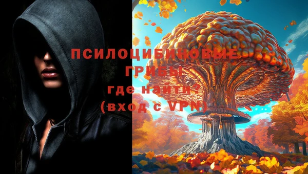 тгк Балабаново