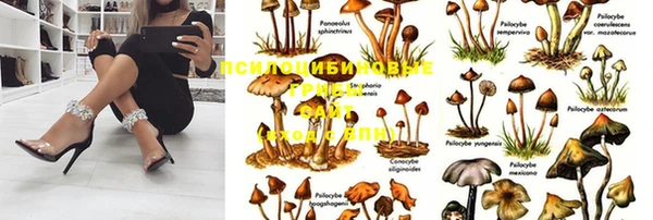 тгк Балабаново