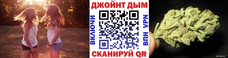 Канабис сатива  Купить закладки  Старица 
